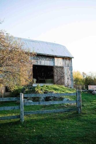 Hilton Valley Guest House – Photos 3