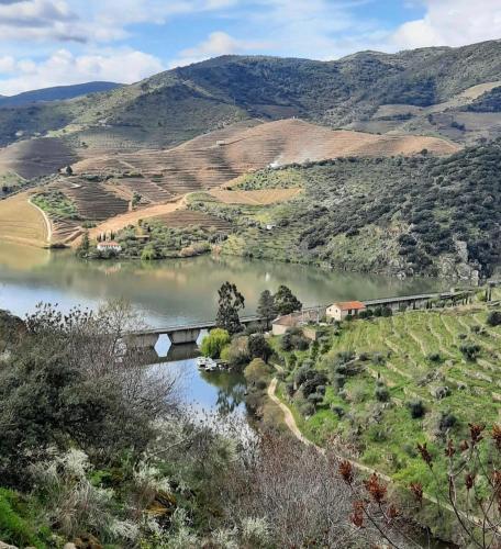 a train crossing a bridge over a river at Quinta da Ferradosa Wines in São João da Pesqueira