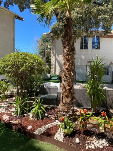 a palm tree in the yard of a house at Casa Cacao près plage et vélodrome in Marseille