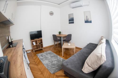 a living room with a couch and a table at APARTMAN TEA 3 in Čukarica
