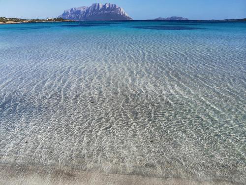a large body of water with a mountain in the background at Wonderland in San Teodoro