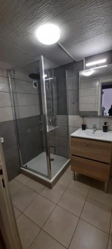 une salle de bain avec douche et lavabo dans l'établissement LOFT Saint Pierre, à Bordeaux