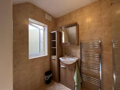 bagno con lavandino e specchio di The Walkinstown Property a Dublino