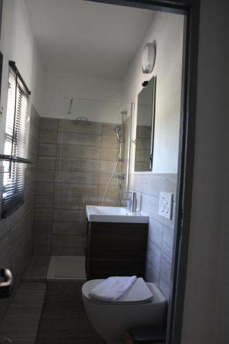 bagno con servizi igienici, lavandino e specchio di Casa In Bocca Al Lupo a Clavesana