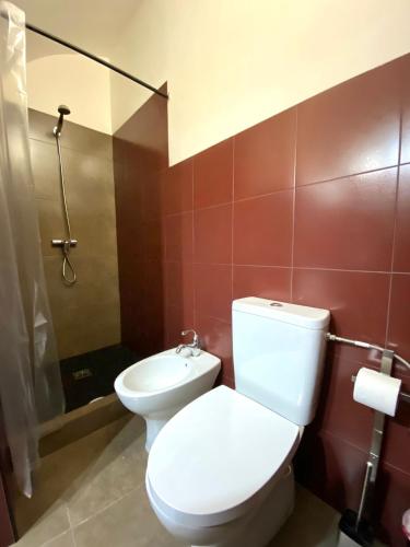 a bathroom with a toilet and a shower at La bodeguita 1 in Zafra