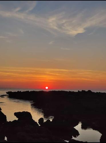 FronteMare photo 37