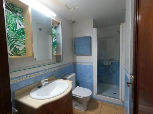 ein Bad mit einem Waschbecken, einem WC und einer Dusche in der Unterkunft apartamento con jardin privado cerca de la playa! in Amposta