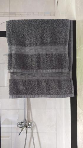 a grey towel hanging on a shower curtain at Sielska Dolina pod Ślężą in Mysłaków