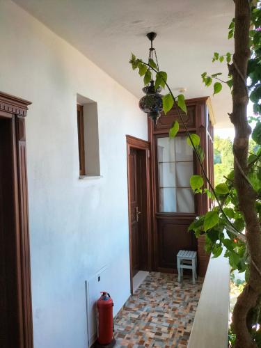 a hallway of a house with a tree at Hotel Mary's House in Selcuk