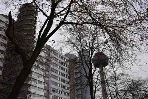 two tall buildings in a city with a tree at FeWo Hostel in Cologne