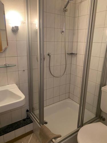 a bathroom with a shower with a sink and a toilet at Gasthof/Pizzeria Hirsch in Mühlheim an der Donau