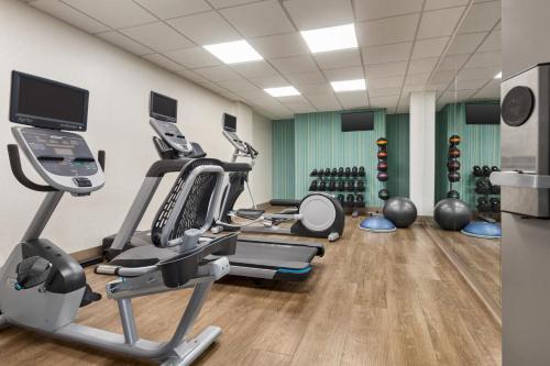 a gym with treadmills and cardio equipment in a room at Holiday Inn Express & Suites Greenville-Downtown by IHG in Greenville