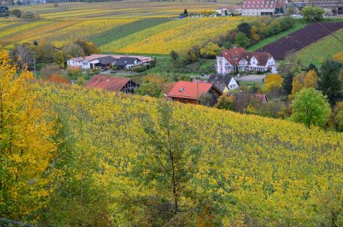 a field of yellow flowers on a hill with houses at Castell Hotel & Restaurant in Leinsweiler