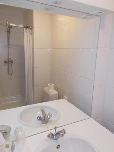 a bathroom with a sink and a shower and a mirror at Hotel Limburgia in Kanne