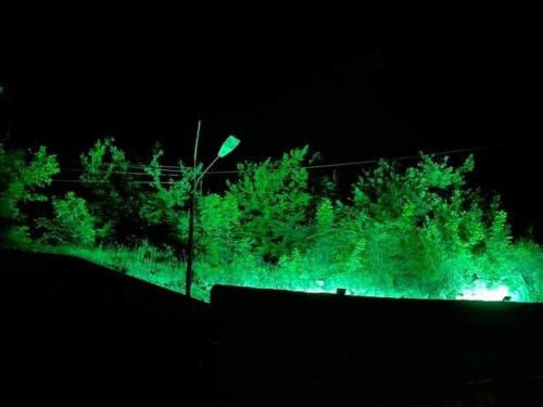 a green lighted field with trees in the dark at Green Garden in Ijevan