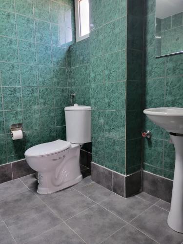 a bathroom with a toilet and a sink at Apartment N.1 in Nov Dojran