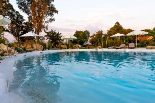 a large swimming pool with chairs and umbrellas at Sun 'n Chill, Boutique Apartments & Beach Villa in Melíkia