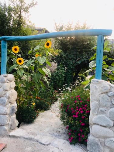 a garden with sunflowers and a blue rail at DreamLand Lagodekhi & Wine Cellar in Lagodekhi