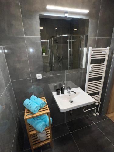 捷克克魯姆洛夫的住宿－Apartmány U Jelena 1，一间带水槽和镜子的浴室