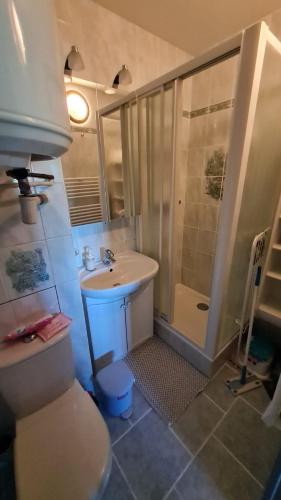 une salle de bain avec un lavabo et une douche dans l'établissement Appartement en bord de mer, à Villers-sur-Mer