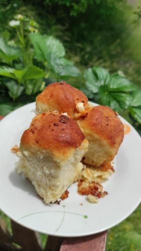 Afbeelding uit fotogalerij van Къща за гости Каневи in Momchilovtsi