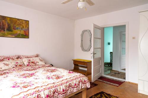 a bedroom with a bed and a mirror at Generous family home in Vişeu de Sus