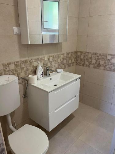 a bathroom with a white sink and a toilet at Casa Maria in Cluj-Napoca