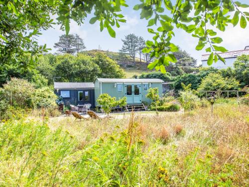 a green house in the middle of a field at The Shepherd's Hut in Aberdyfi