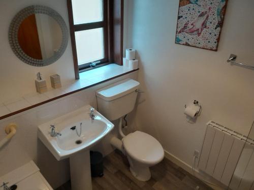 a bathroom with a toilet and a sink and a mirror at 2 Harbour Row in Helmsdale