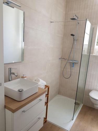 uma casa de banho com um lavatório e um chuveiro em Brest : Beau T1 en centre ville em Brest