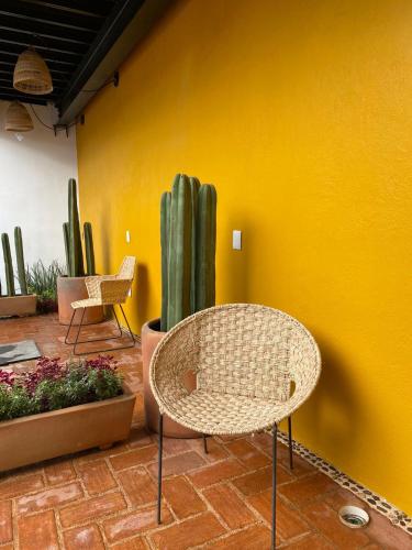 Fotografie z fotogalerie ubytování Santa Cecilia Hotel v destinaci Oaxaca