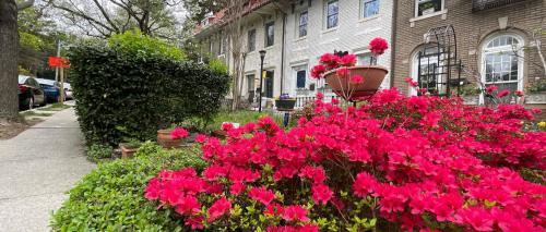 Κήπος έξω από το Wayside Inn Bed and Breakfast