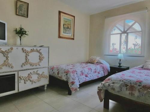 CASA MOTTA房間的床