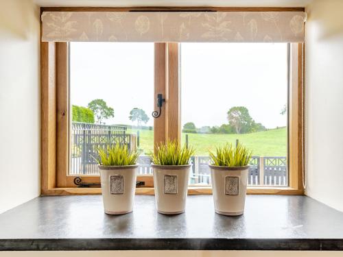 three potted plants sitting on a window sill at The Granary in Llanfair Caereinion