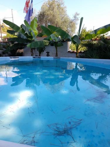 a swimming pool with blue water and plants at SOGNO Vacanze in Massa