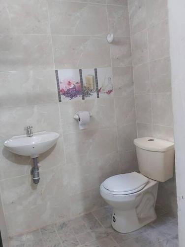 里奧阿查的住宿－apto #5 cómodo y acogedor en lugar estratégico，一间带卫生间和水槽的浴室