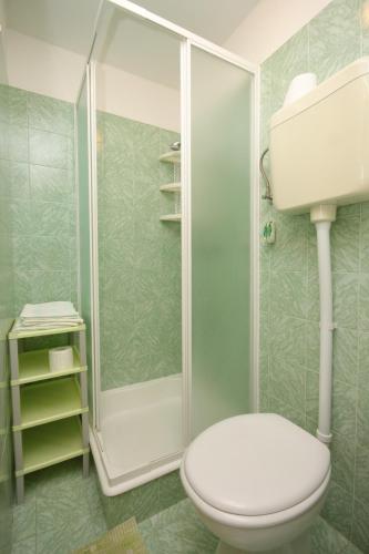a bathroom with a toilet and a shower at Apartments with parking space Kraj, Opatija - 7794 in Kraj