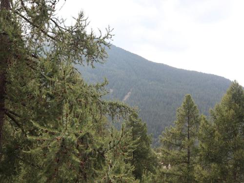 a view of a mountain with trees in the foreground at Calme Appartement 2 Pièces, 6 Personnes, Terrasse, Les Orres - FR-1-322-485 in Les Orres