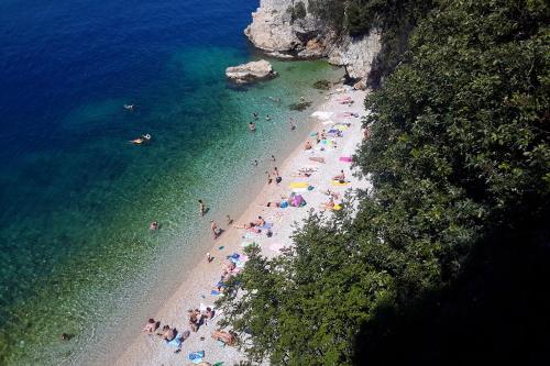 Fotografia z galérie ubytovania Apartments with WiFi Rijeka - 13227 v destinácii Rijeka