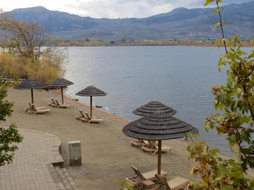 a group of umbrellas and chairs on a beach at Walnut Beach Resort in Osoyoos