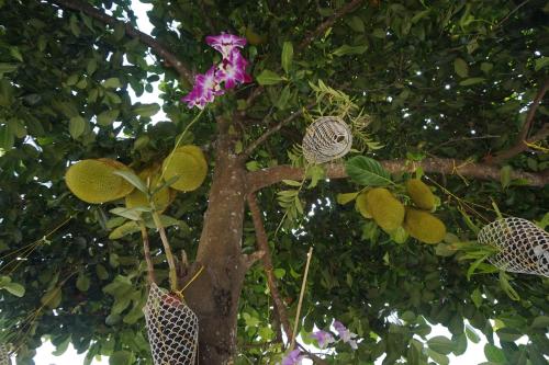 Zahrada ubytování Hotel White Gate Residency -near to Vaikom Sri Mahadeva Temple