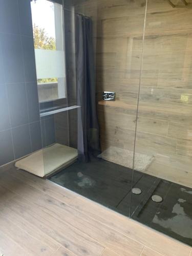 ein Bad mit einer Dusche und einer Glastür in der Unterkunft Otium in Couvin