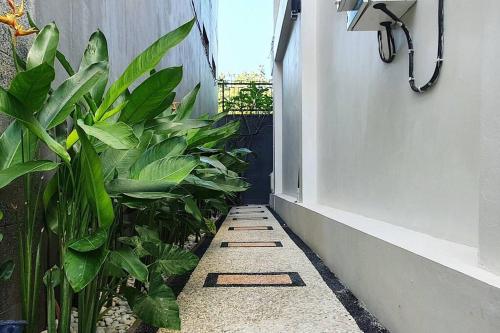 a garden with plants next to a door at Villa Royal in Singaraja