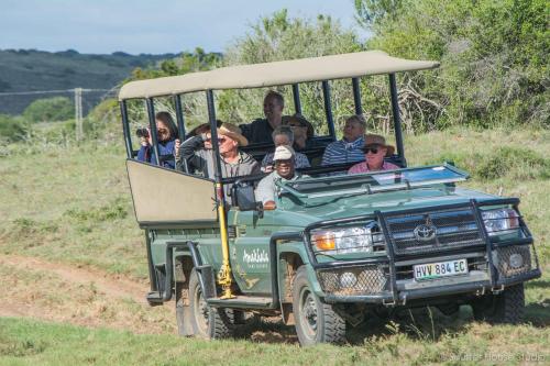 Hosté ubytování Safari Lodge - Amakhala Game Reserve