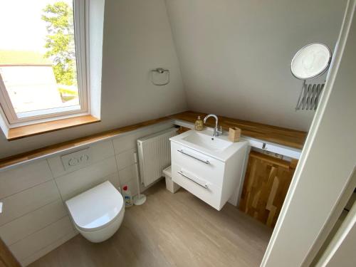 a bathroom with a toilet and a sink and a window at Etzel-Lodge Feldblick in Friedeburg