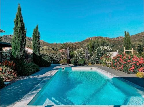 - une piscine dans un jardin fleuri dans l'établissement CASA GIABICONI - Villa 6pers. piscine & spa, à Occhiatana