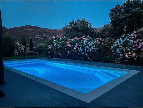 a blue swimming pool in a yard with flowers at CASA GIABICONI - Villa 6pers. piscine & spa in Occhiatana