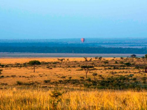 a hot air balloon flying over a field at Kandili Camp in Musiara Campsite