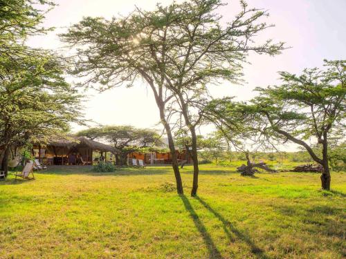a group of trees in a field with a house at Kandili Camp in Musiara Campsite