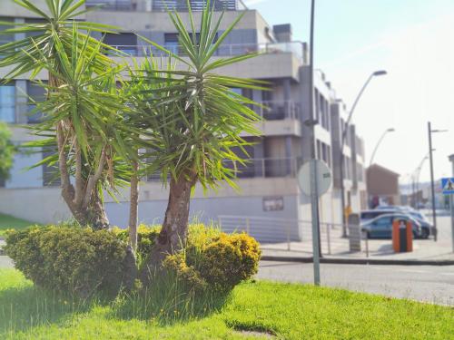 Η γειτονιά γύρω από ή μία γειτονιά κοντά σε αυτό το διαμέρισμα